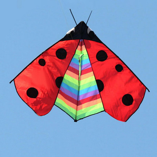 Triangle Ladybug Kite Fly Kite Easy Control Delta Kite Para