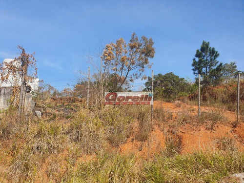 Imagem 9 de 10 de Terreno À Venda, 2424 M² Por R$ 1.000.000,00 - Jardim Jóia - Arujá/sp - Te0719