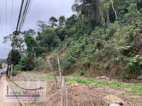 Imagem 2 de 5 de Terreno Em Centro - Miguel Pereira - 3319