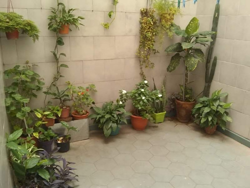 Imagen 9 de 17 de Cnel Olmedo 100 P.b. 1 Dor 2 Patios Y Cochera