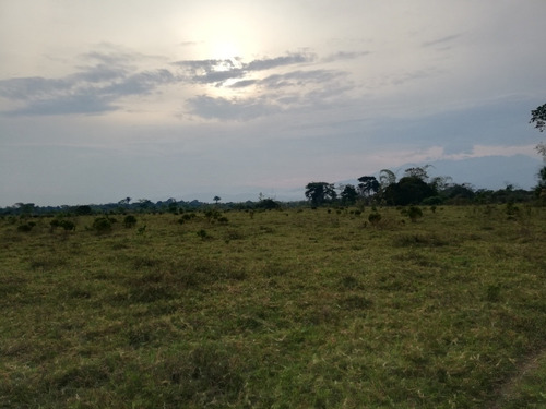 Finca En Restrepo Meta
