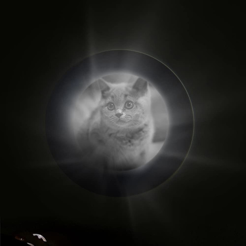 Coleira De Projeção De Fotos De Pata De Cachorro