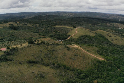Imagen 30 de 30 de Campo Ovicola En Garzon - 212 Hectareas
