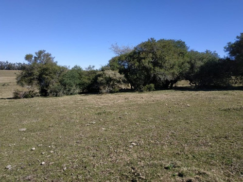 Chacras De 5 Hectareas Sobre Ruta 12