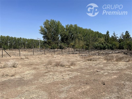 Terreno Construccion En Venta En Colina