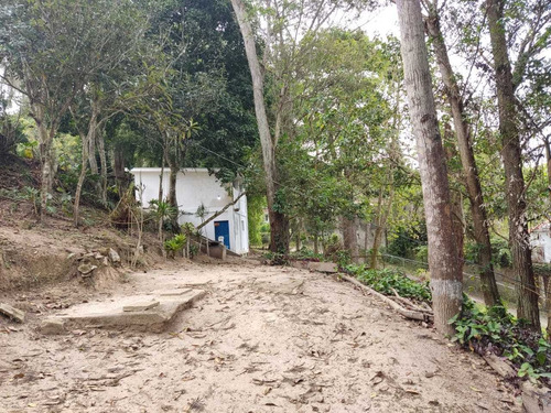 Imagen 6 de 8 de Venta Terreno 9.302m2 Los Guayabitos/baruta