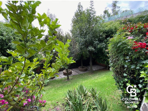 Casa En Renta, Colonia Bosque De Las Lomas