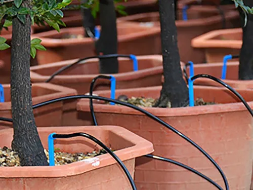 Sistema Riego Automático Para Plantas Interior Herramientas