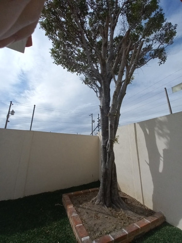 Imagen 19 de 23 de Casa Nueva Atlatlahucan, Mor. Junto Club Campestre Asturiano