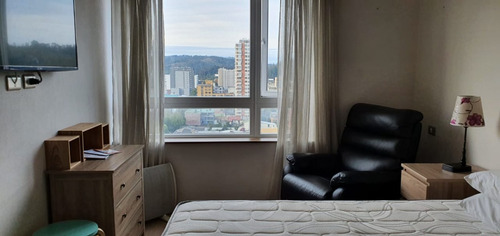 Venta Acogedor Dpto En Central Ubicación / Concepción.