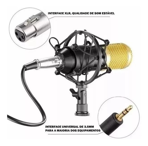 Microfone Condensador Bm800 + Aranha Metal + Braço + Pop F