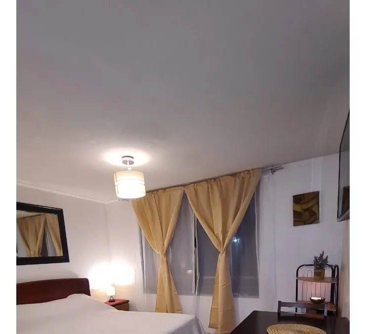 Imagen 3 de 4 de Arriendo Homestudio Amoblado En Santiago-excelente Ubicación