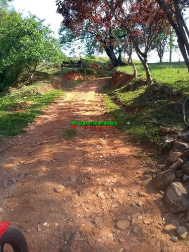 Imagem 3 de 7 de Sítio 30 Mil M² Em Monteiro Lobato - 1671