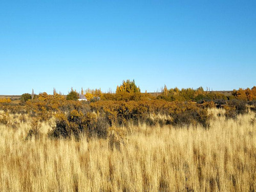 Campo - Precordillera De Santa Cruz
