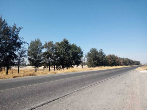 Imagen 1 de 4 de Terreno En Renta, Betulia, Jalisco, Carretera Slp-ags, Lote 10, Ttr 390048.