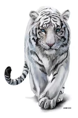 Poster 3D Tigre Andando Sobre a Neve 50x70cm com/sem Moldura