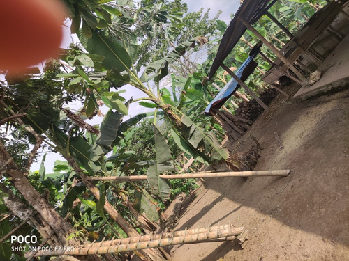 Imagen 7 de 7 de Vendo Finca De 2 Hectáreas