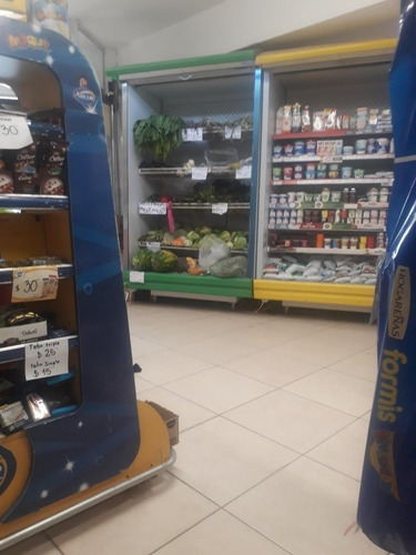 Imagen 15 de 15 de Vendo Autoservicio Y Local San Rafael Mendoza