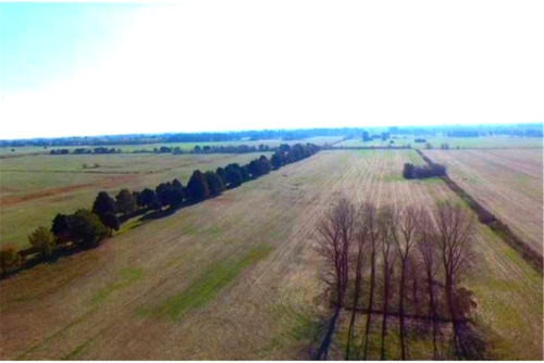 Imagen 5 de 21 de Venta Campo De 195 Ha. En Manzanares Pilar - Único