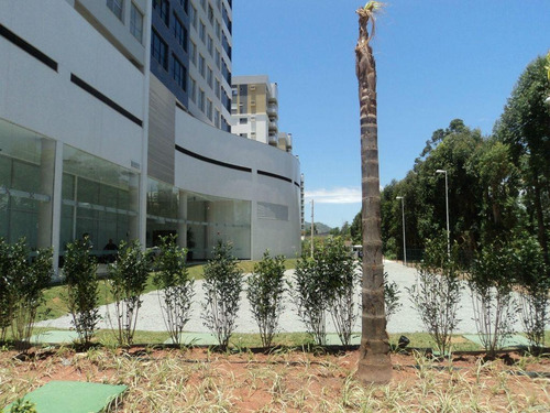 Imagem 5 de 8 de Exclusiva Loja No Bairro Itacorubi - Lo0084