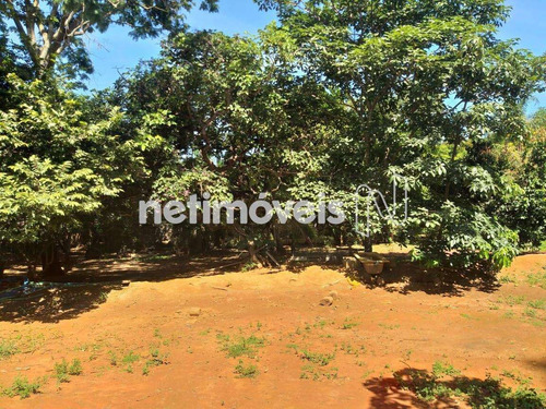 Imagem 24 de 27 de Venda Chácara Ypiranga Valparaíso De Goiás - 839116