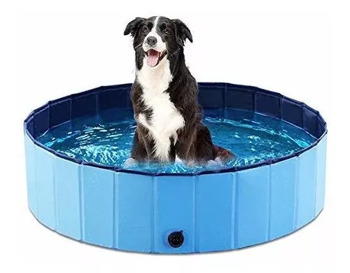 Meowant Piscinas plegables para perros grandes, piscina infantil de  plástico duro, piscina plegable para perros y mascotas, piscina portátil  para