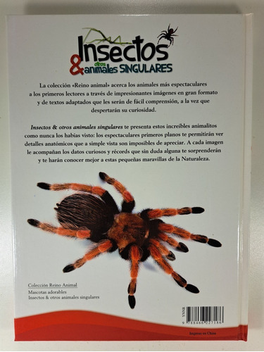 Insectos Y Otros Animales Singulares - Libro Infantil