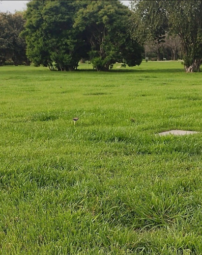 Imagen 4 de 7 de Jardin De Paz (pilar),parcela.