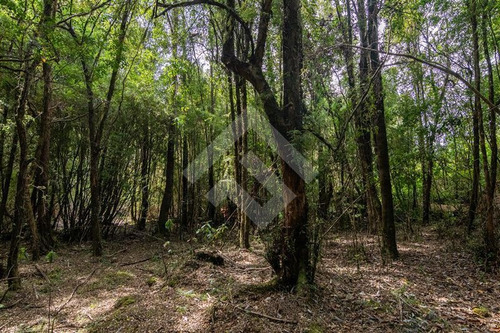 Imagen 5 de 19 de Sitio En Venta En Brisas De Loncotoro