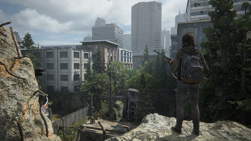 Imagen 6 de 12 de The Last of Us Part II Standard Edition - Físico - PS4