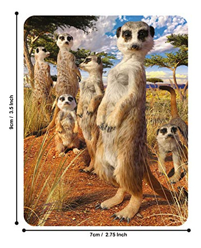 Imán 3d Livelife: Mirada De Suricata De Deluxebase. Lénticul