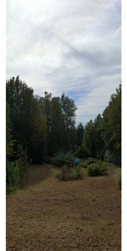 Preciosa Casa En Parcela Alto Pinar Villarrica Con Recepción