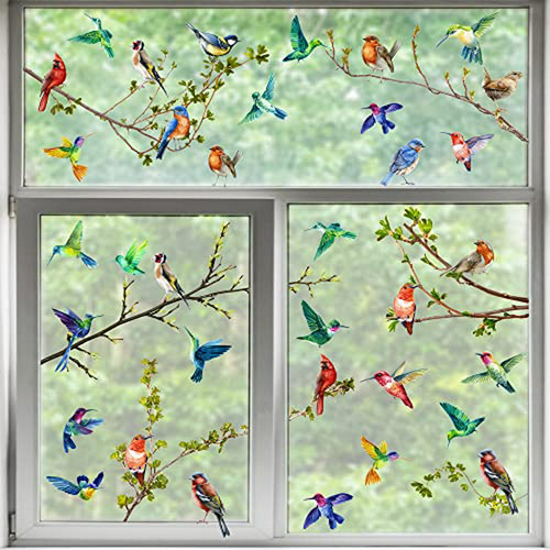 Adhesivos Ventanas Primavera Verano: Aves Punto Ciego.