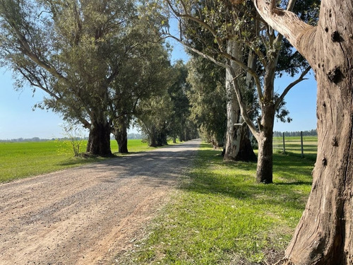 Venta Lote Villa De Campo Tres Pinos Barrio Norte Gral. Rodriguez