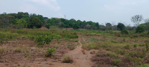 Terreno En Renta De Terreno A Pie De Carretera En Sebastopol Tuxtepec Oaxaca