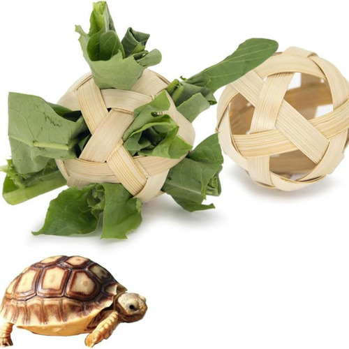 Jk Juguete De Patineta For Reptiles, Mini Patineta Para