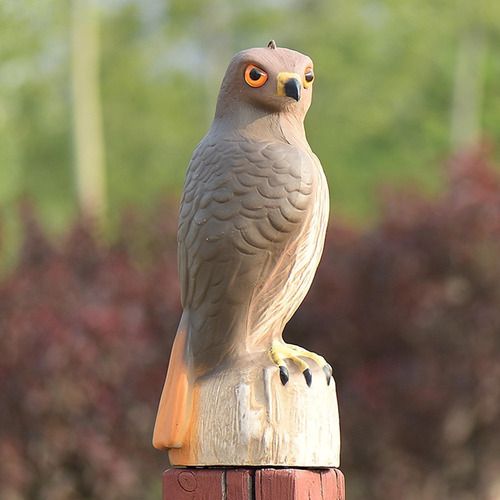 Shaoke Estatua De Águila De Simulación For Jardín,