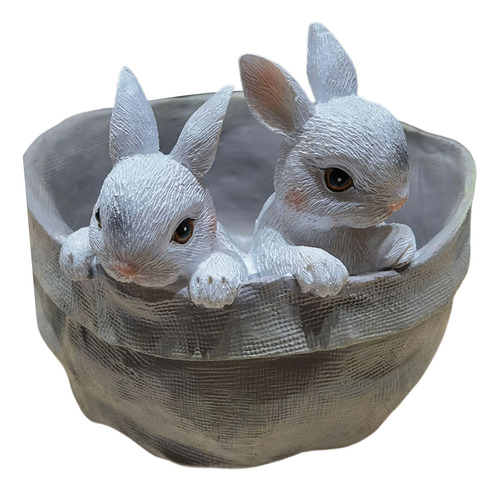 Maceta Para Flores De Conejo, Maceta Para Suculentas, Maceta