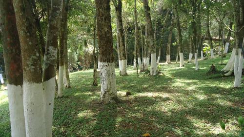 Chácara Cond. Rural C/piscina