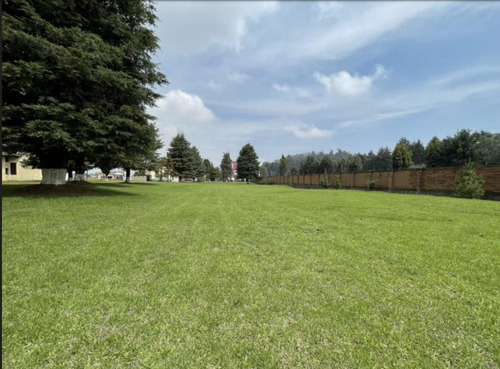 Lotes En Venta Desde Desde 775m2 Hasta 1483m2 Sobre La Vialidad Pino Suárez