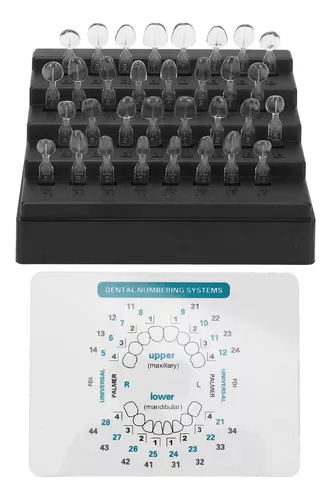 Juego De 32 Moldes Para Carillas Dentales De Diferentes Form