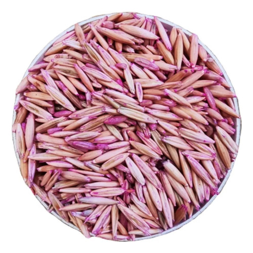 Semilla De Avena Declarada Var. Cuahutemoc (40 Kg)