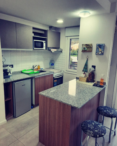 Depto Céntrico Nuevo 2-3 Personas Vista Al Lago 1 Mascota Ok