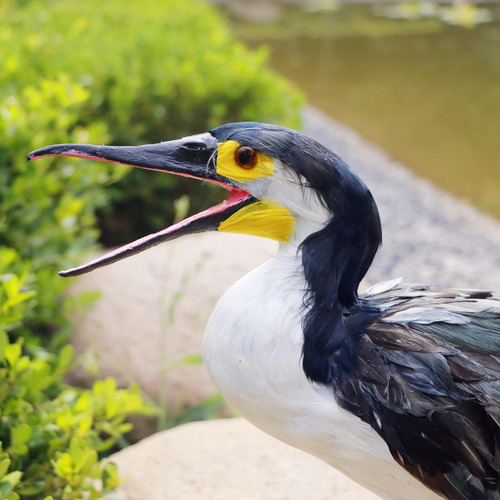 Estátua De Jardim De Penas Artificial Cormorant Artesanato