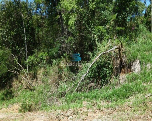 Imagem 6 de 11 de Terreno De 6.000 Metros Quadrados Em Condomínio Fechado Atibaia - Venda - Tc00105 - 69735407