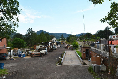 Imagem 2 de 9 de Terreno Casa Ótima Localização Ideal Para Empresa - Faixa Velha - 95236