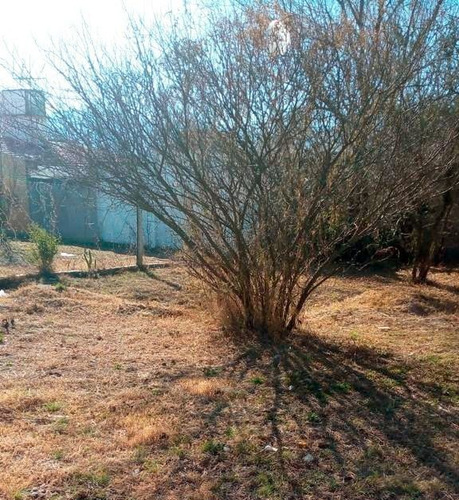 Imagen 3 de 6 de Lote En Venta De 251m2 Ubicado En Cosquín