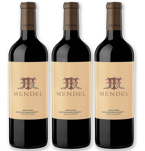 Vino Tinto Mendel By Roberto De La Mota X 3 Un.