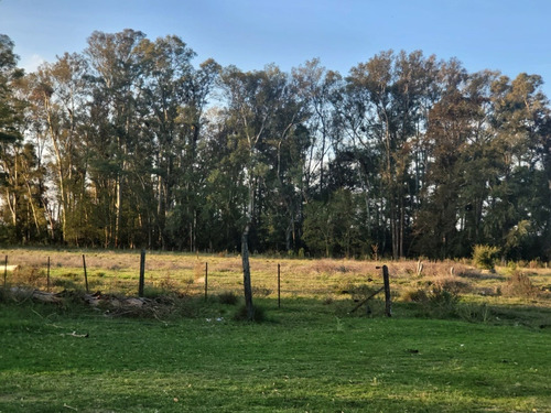 Chacras En Los Pinos
