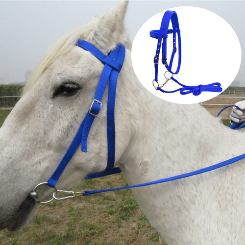 Rienda De Caballo Con Cabestro De Control De Azul M